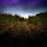 watt j the path