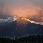Twizel