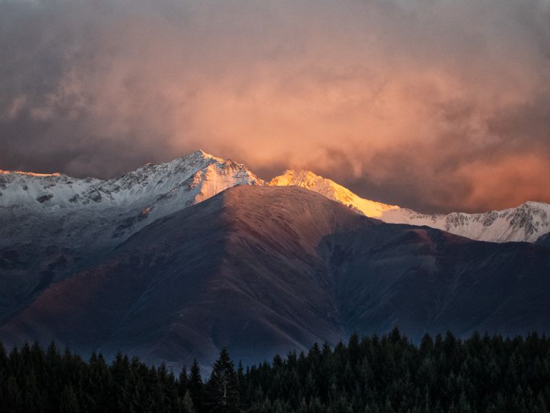Twizel